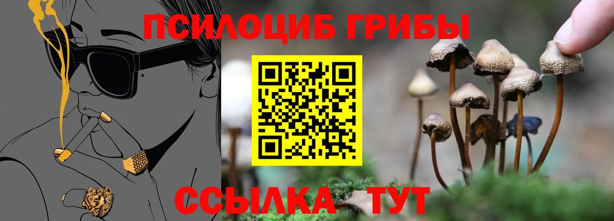 Псилоцибиновые грибы мухоморы  Вход с VPN  Павловский Посад 