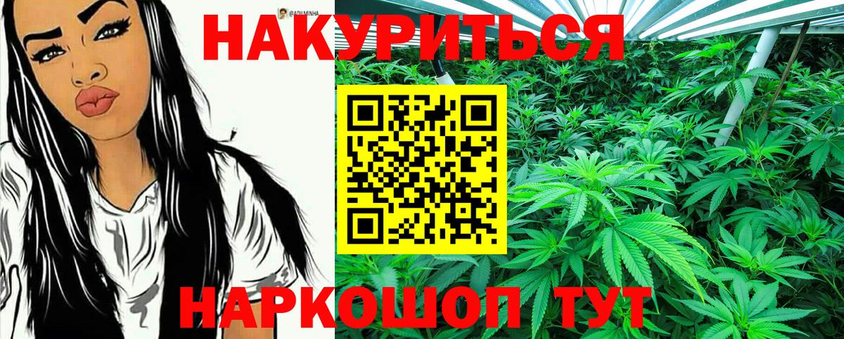 Марихуана гибрид Павловский Посад